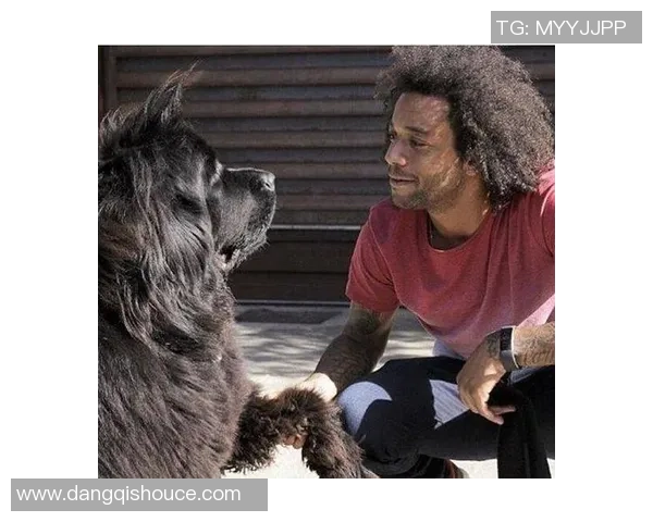 世界杯足球宝贝与球星婚姻背后的故事与情感历程揭秘