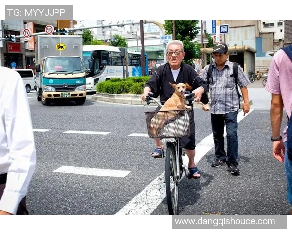 当足球巨星化身铲屎官 球场之外温情遛狗日常曝光 当足球巨星化身铲屎官 球场之外温情遛狗日常曝光